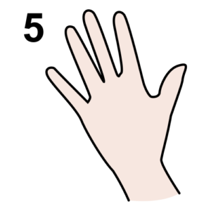 five (5)