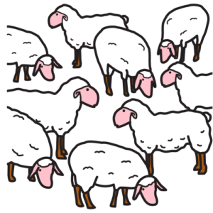 flock