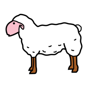 lamb (animal)