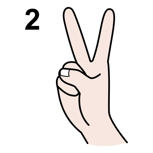 Two Hand Sign