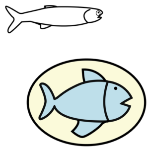 fish (fish to eat)